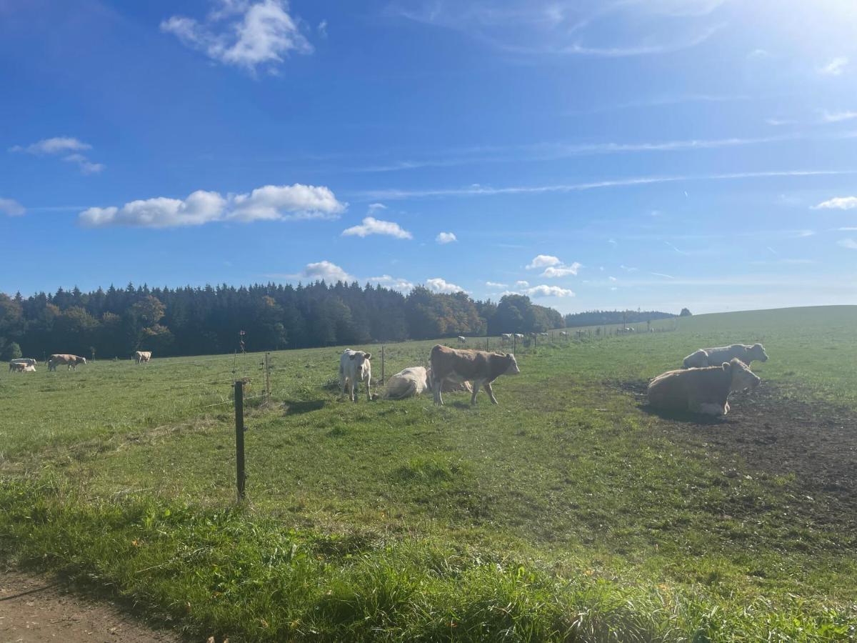 Apartmán Studnice na Vysočině Nove Mesto na Morave Esterno foto